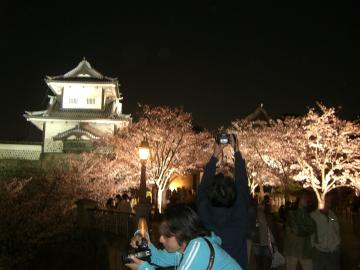石川門　夜桜