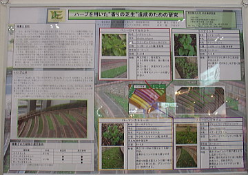2009 eco-pro 香りの芝生