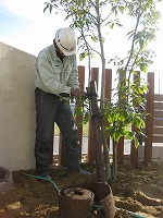 植栽は大江さんにまかせれば安心