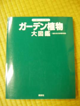 ガーデン　デザイン