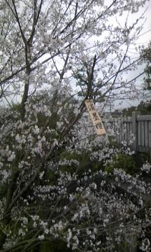 愛知県　木