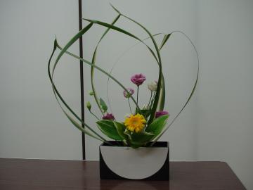 ﾆｭｰｻｰﾗﾝ　庭