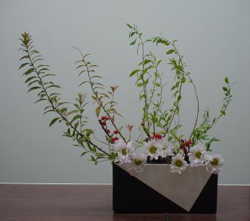 菊　白い花　植栽　剪定　愛知