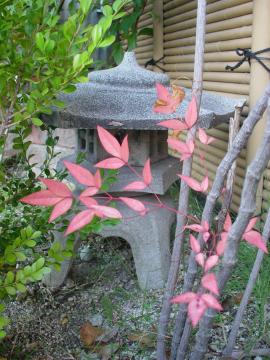 灯篭　和風　植物　庭　名古屋