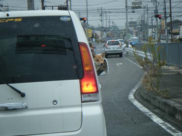 庭　運転手