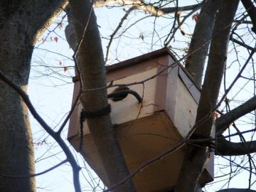 G-C鳥小屋3