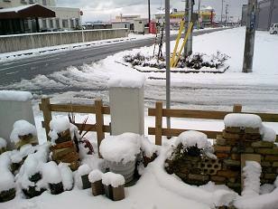 展示場雪