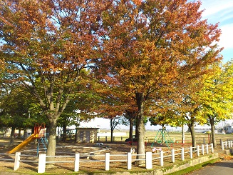 長岡市紅葉