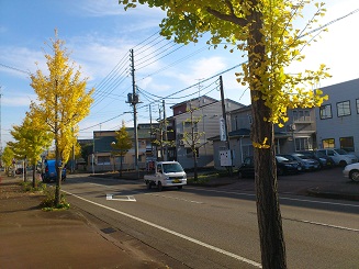 長岡市黄葉