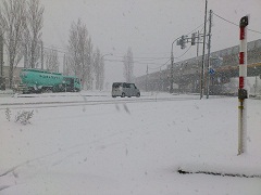 新潟市降雪