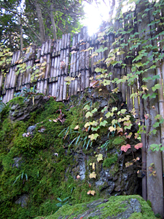 田上町椿寿荘