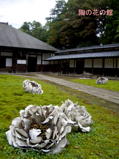 陶の花の館