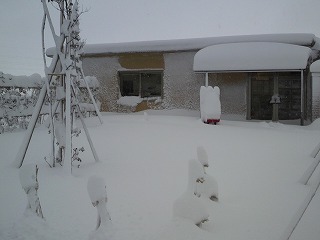 雪に埋まる上越店