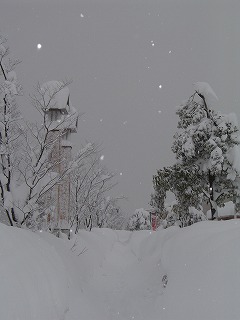 粉雪