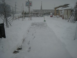 除雪！！