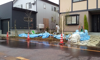 長岡市お庭の目隠し④