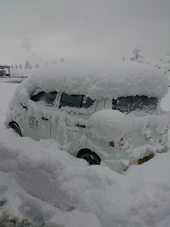 車の上の雪