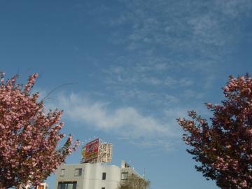 5／24空