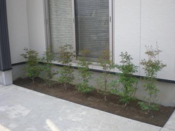 富山　庭工事
