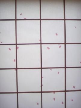 この桜吹雪が…目にいい〓