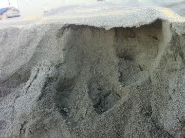 朝、砂が凍結してて、下を掘ったらカマクラみたいになった♪どうぞどうぞ♪アカンアカン（笑）