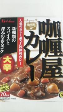 かねたろうの今日のカレー　その①　「カリー屋カレー　大辛」