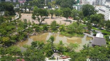 ギロッポンで発見、緑の公園。