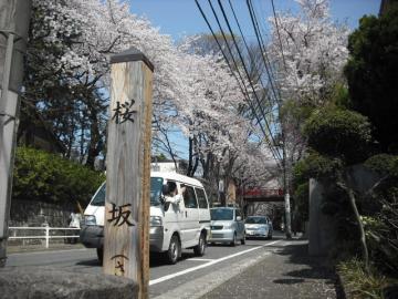 桜坂