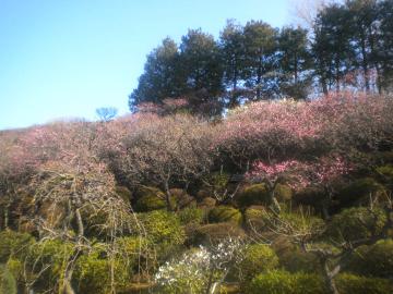 池上梅園