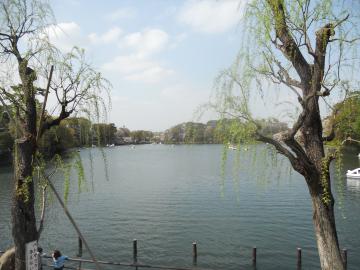 洗足池公園