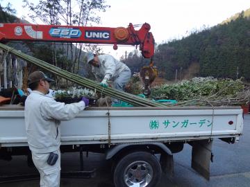 植木積込み