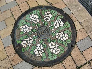 静岡市 たちあおい 駿府公園周り 2012.2.8 撮影