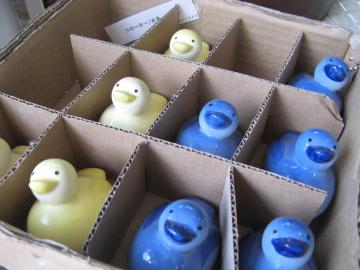出番待ち 水鳥のフローター