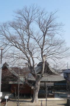 神社