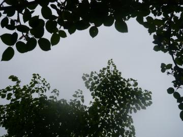 小雨降る朝の空