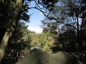 本間美術館