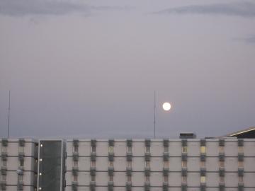 セントレアの月