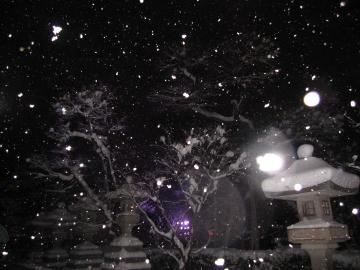 雪降りのライトアップ