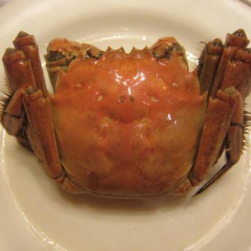 上海蟹フルコース