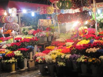 タクシム広場の花屋