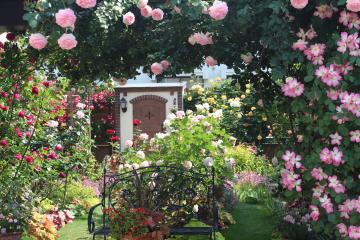 薔薇咲く庭のカンナキュート物置