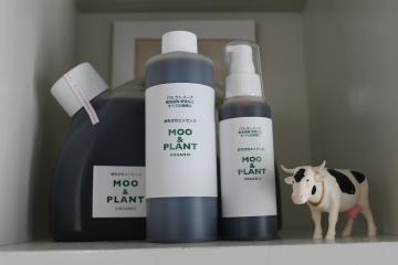 現在のMOO&PLANT