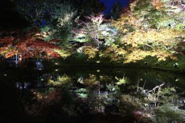 高台寺　池に写る紅葉