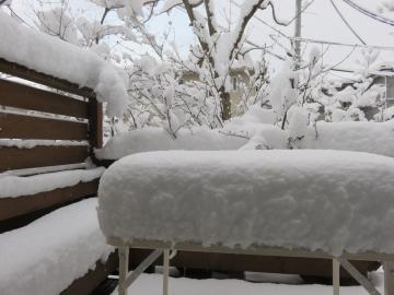 デッキに積もった雪