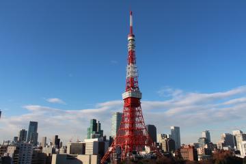 ホテルの窓から東京タワー