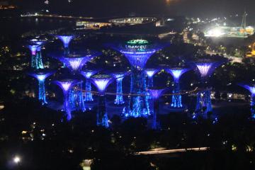 ガーデンズ・バイ・ザ・ベイの夜景