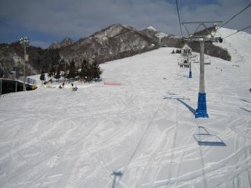 今年もスキー