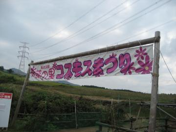 ｺｽﾓｽ祭り1