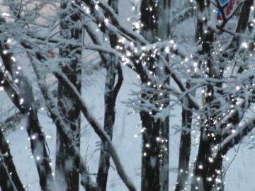 雪