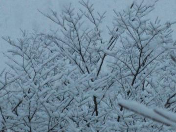 雪2